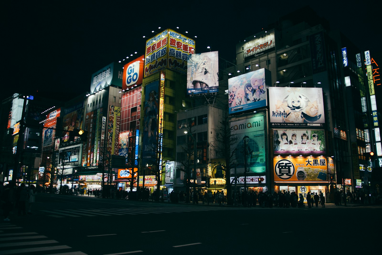 Neon signs and arcade buildings in Akihabara, Tokyo's otaku district