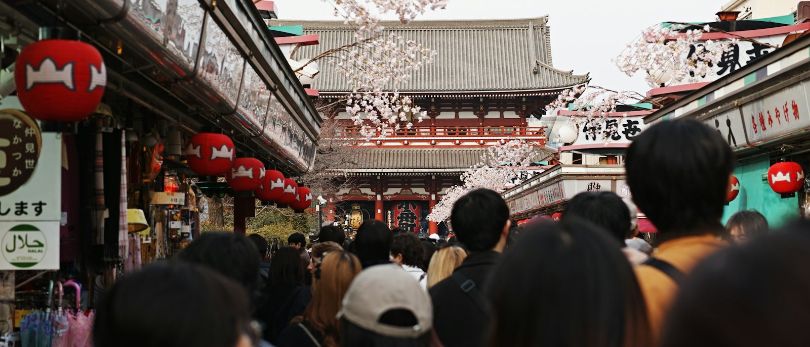 Red lanterns and street-side seating along Hoppy Street in Asakusa, Tokyo