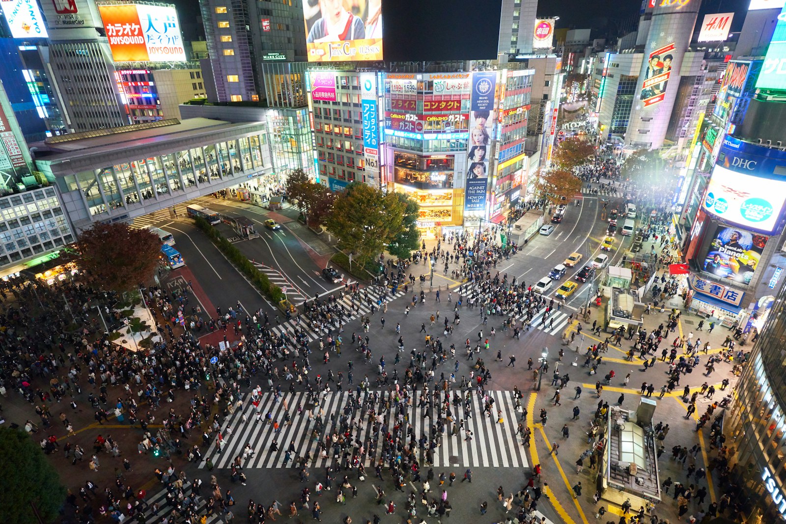 Shibuya Scramble Crossing lit up at night, the gateway to Shibuya nightlife