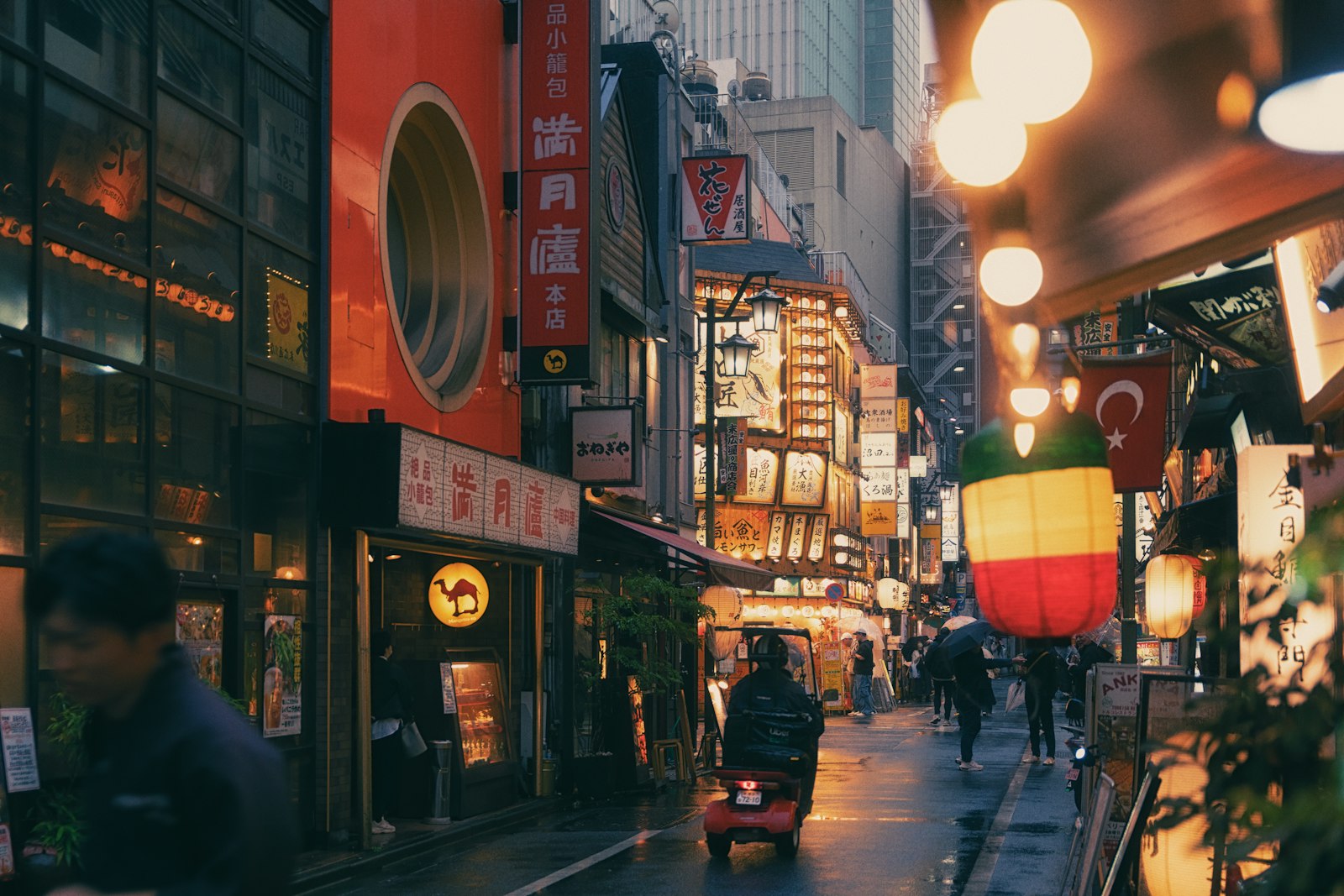 alt: Lantern-lit yakitori alley in Shinjuku, a classic stop on a Tokyo food tour at night