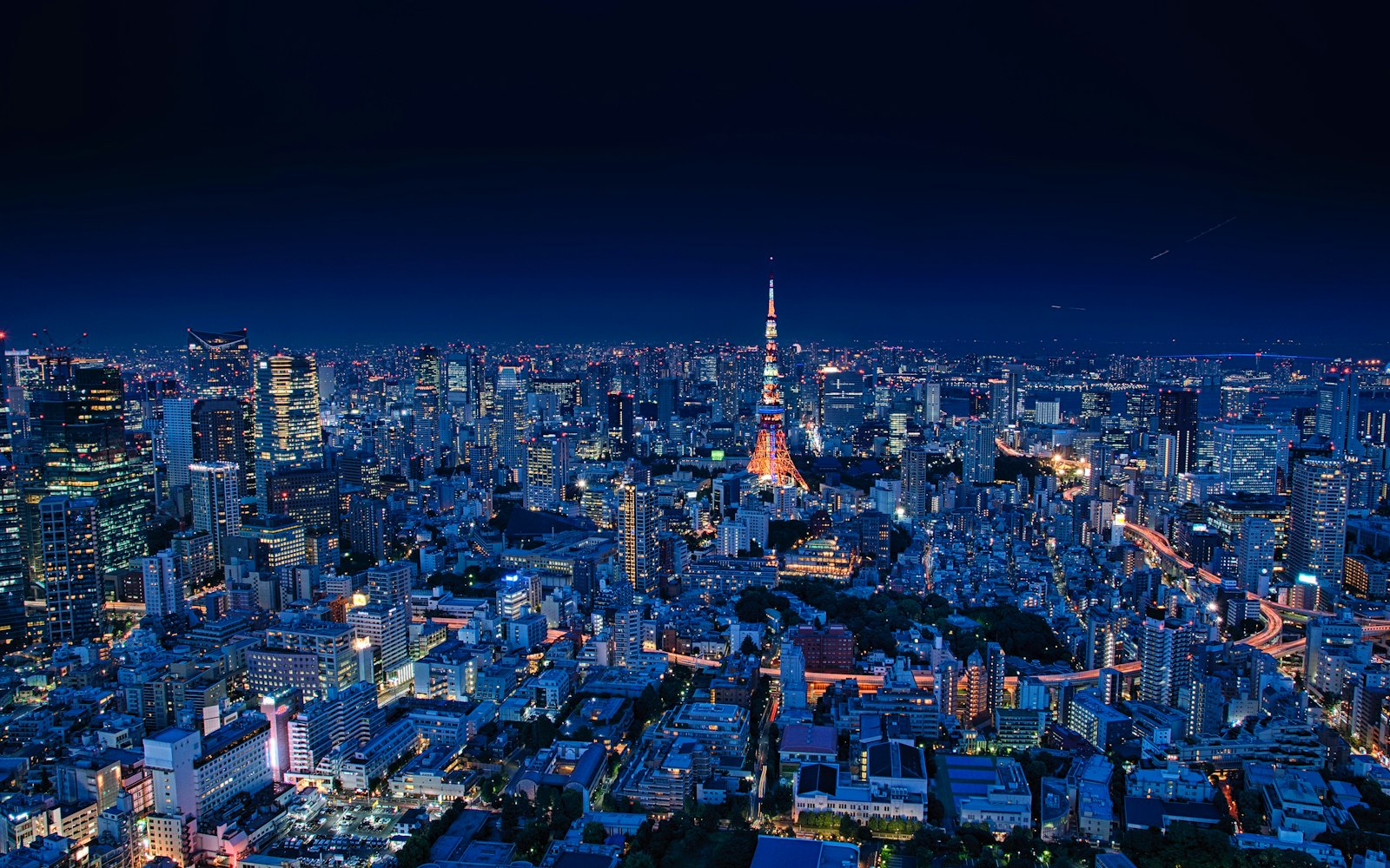 Tokyo night sightseeing view of the city skyline lit up after dark from an observation deck