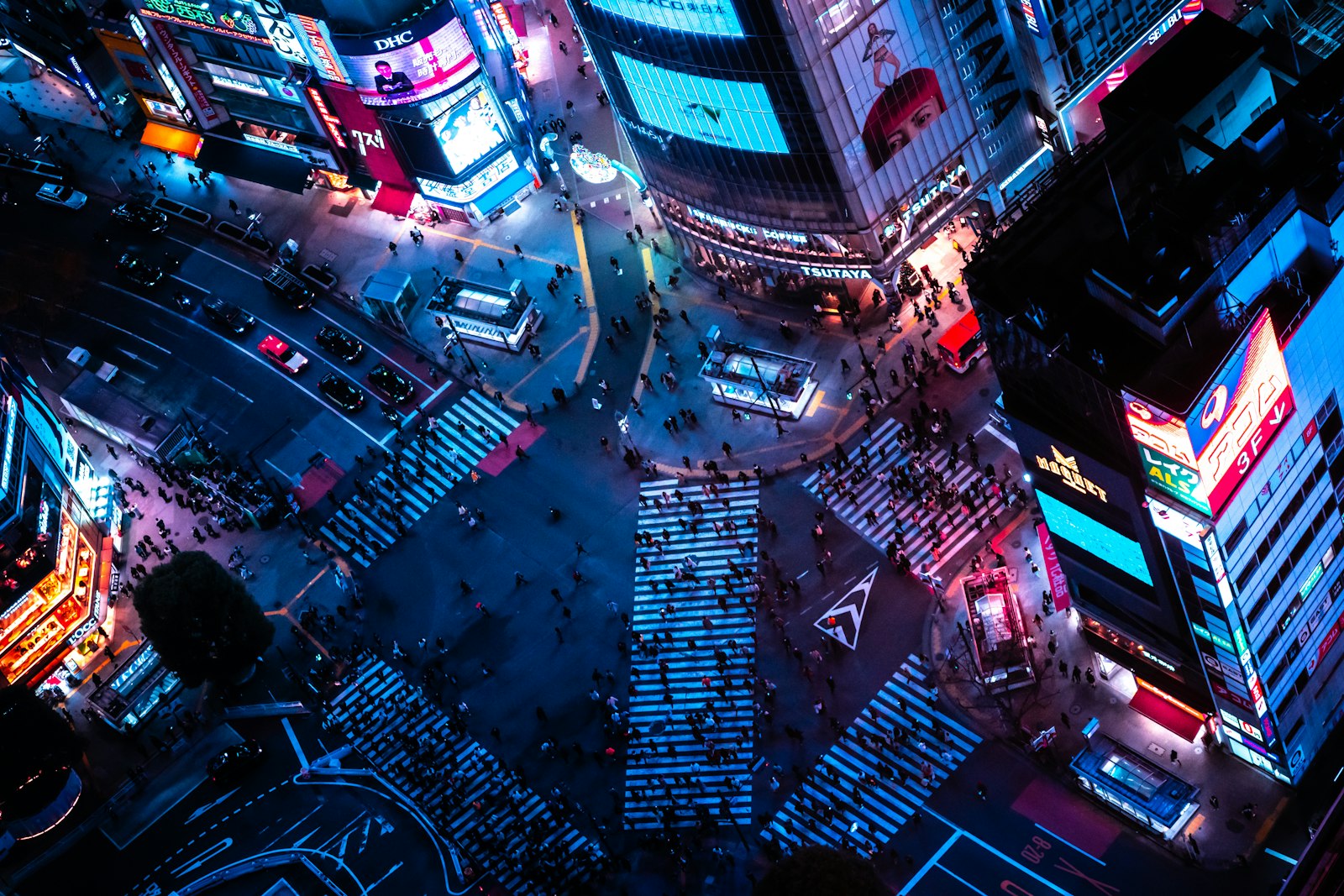 Shibuya at night from above, one of the districts covered by Tokyo's best rated night tours