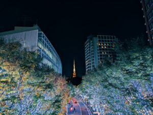 Trees wrapped in golden lights along a Tokyo street, a highlight of Tokyo nightlife in winter