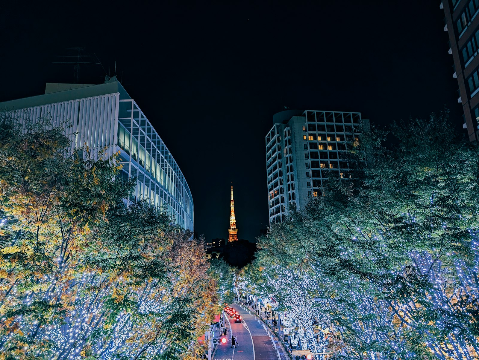 Trees wrapped in golden lights along a Tokyo street, a highlight of Tokyo nightlife in winter