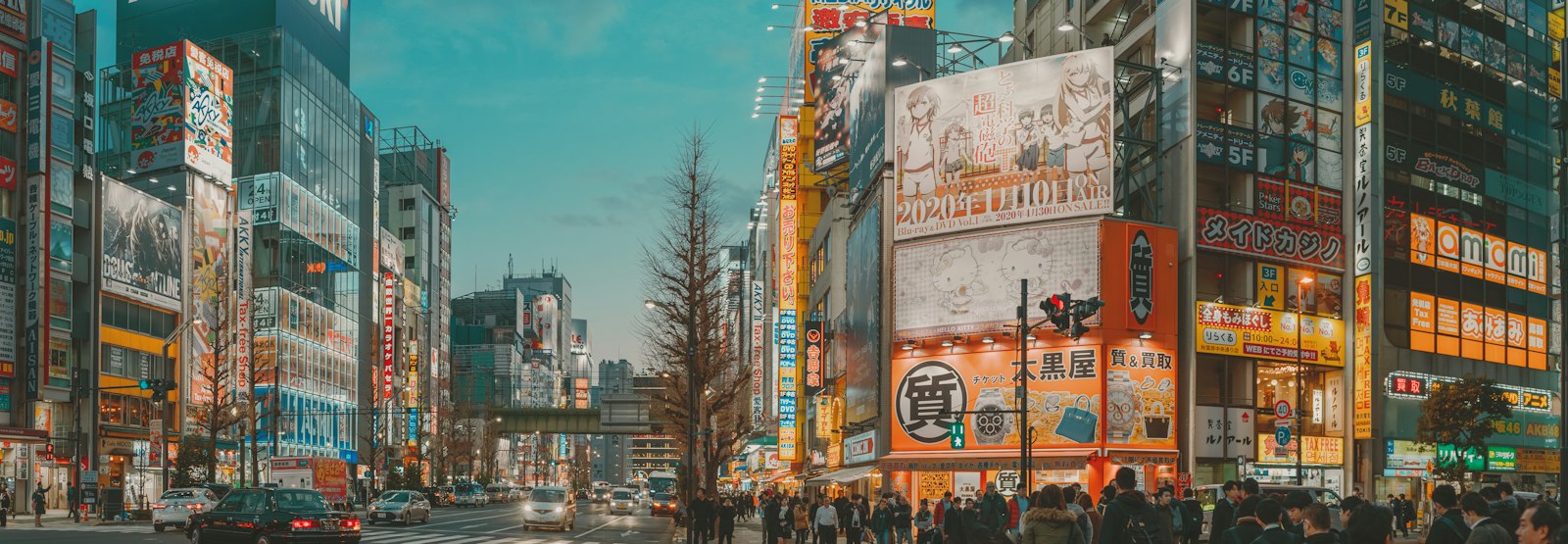 Local guide leading travelers through a Tokyo street, the core of both private and group tours
