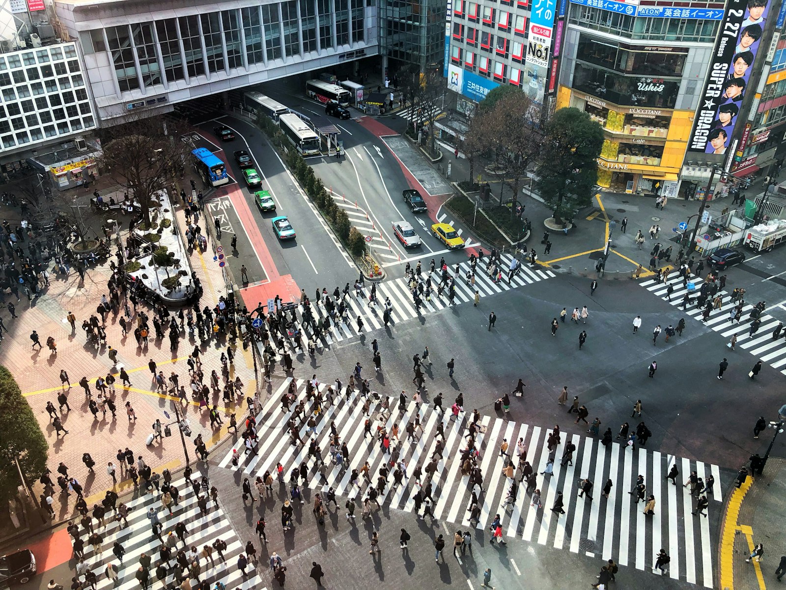 Shibuya Scramble Crossing at night, inside the zone where Tokyo's street drinking ban applies from 6pm to 5am