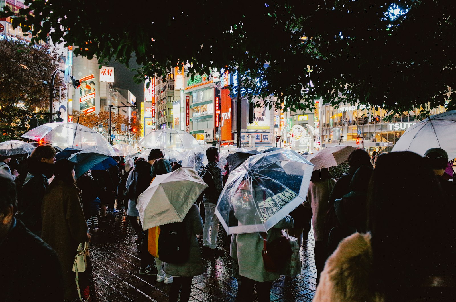 Shibuya at night on a rainy evening, umbrellas and neon reflections on the wet street