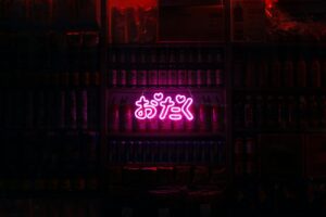 Neon signs over a Kabukicho street at night, where many Tokyo cabaret clubs are located