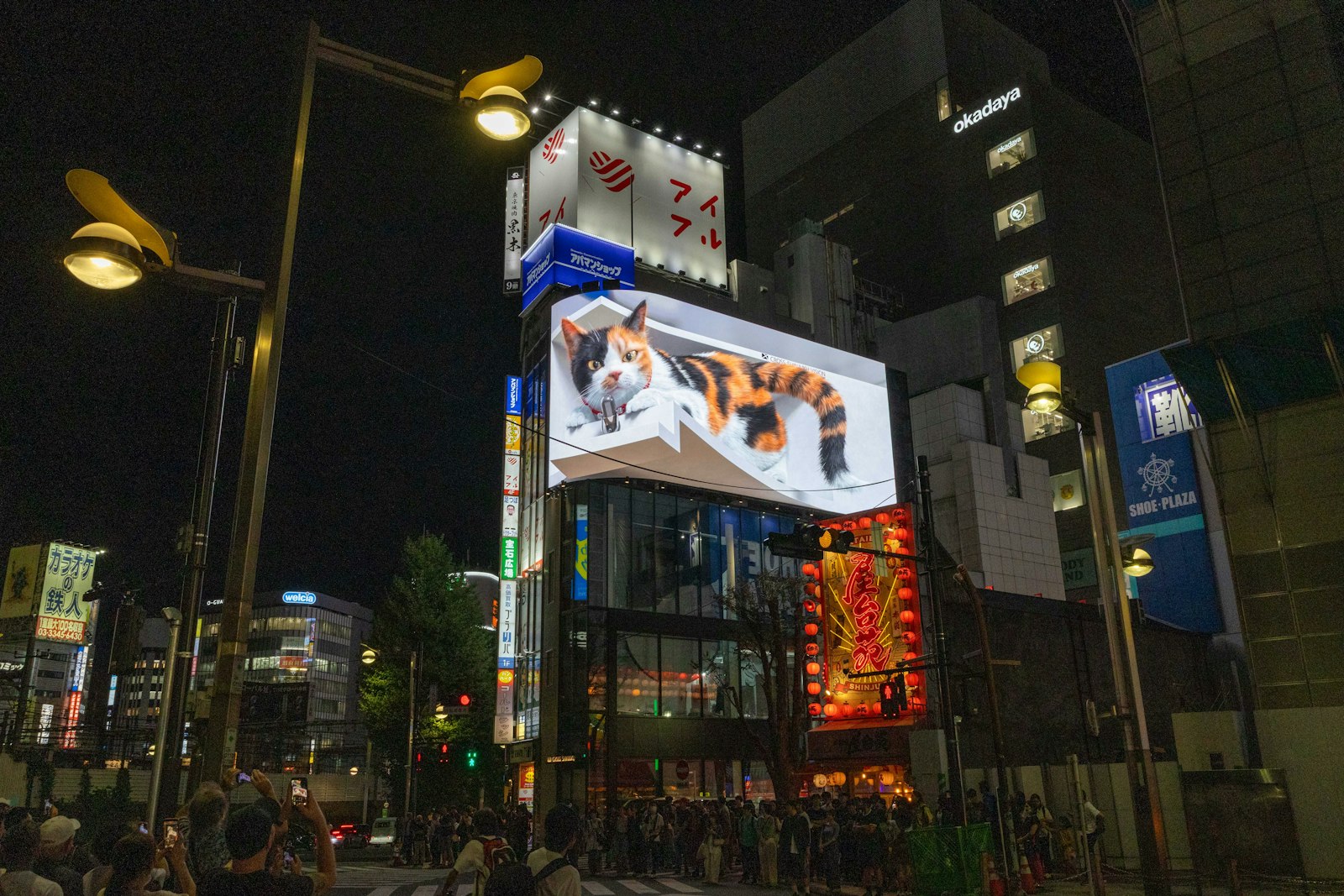 Visitors walking through Shinjuku at night after a host club visit
