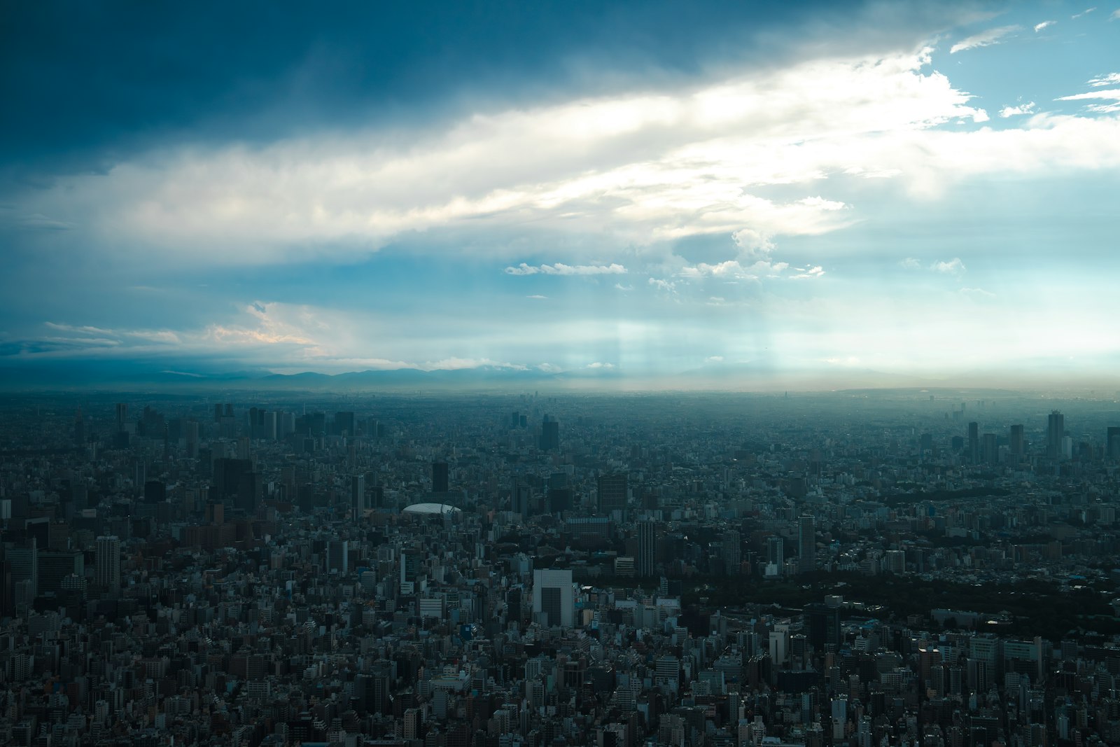 The Tokyo Skytree night view from the observation deck, with city lights reaching the horizon