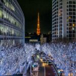 Champagne-gold tree lights along a Tokyo avenue during the Tokyo winter illumination 2026 season