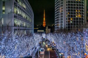 Champagne-gold tree lights along a Tokyo avenue during the Tokyo winter illumination 2026 season