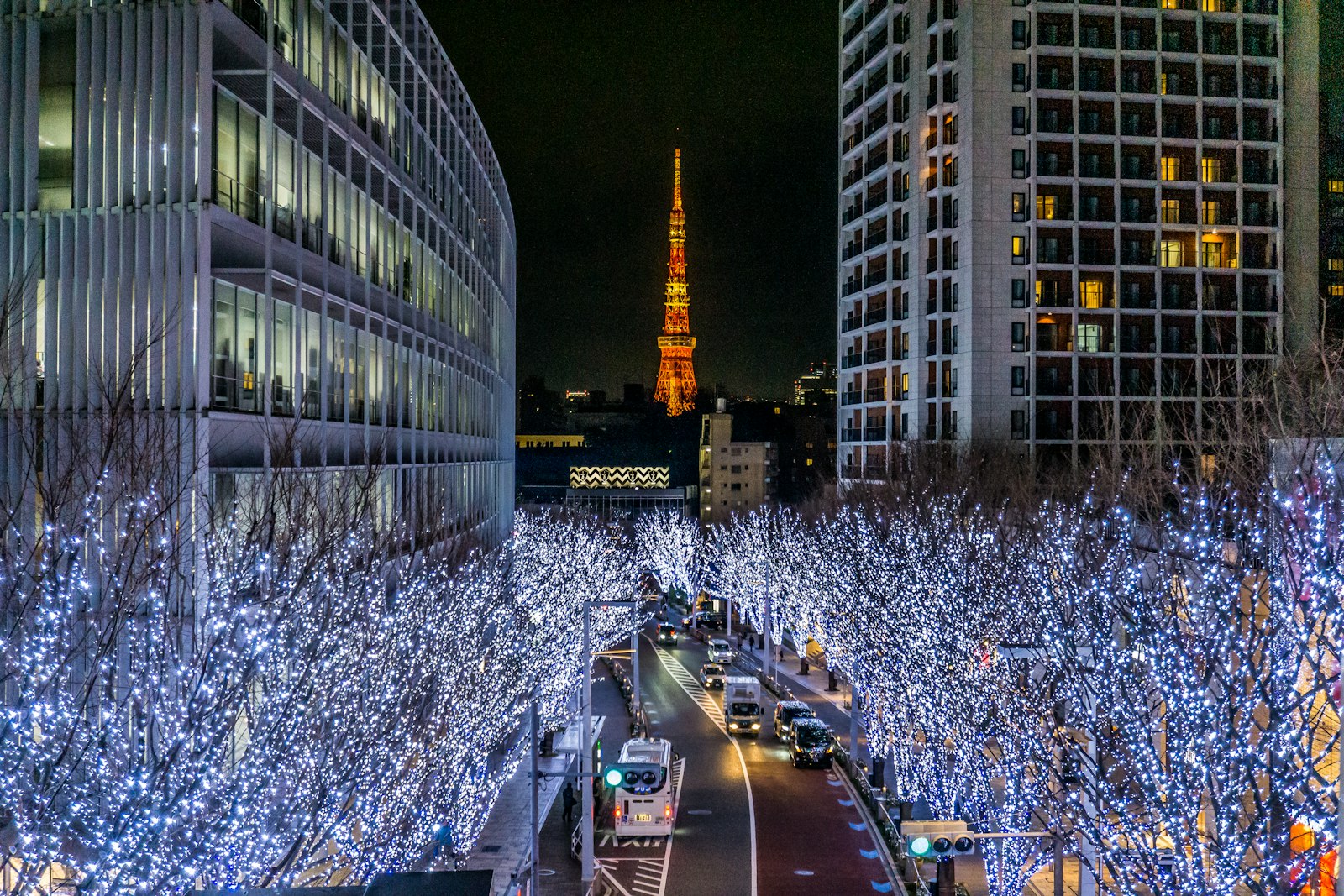 Champagne-gold tree lights along a Tokyo avenue during the Tokyo winter illumination 2026 season