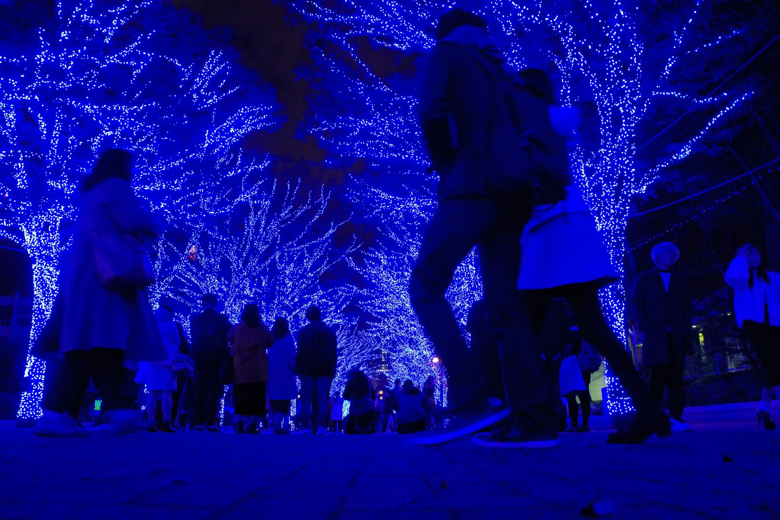 Visitors walking under Christmas lights in Tokyo on a winter evening